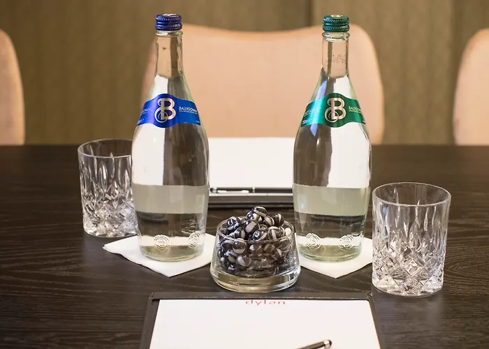 狄伦酒店 酒店 5*