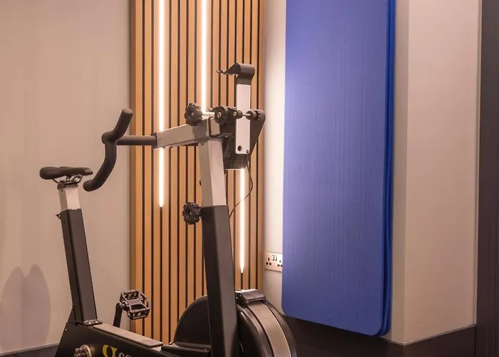 酒店 狄伦酒店 都柏林