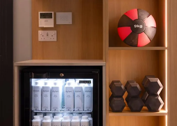 狄伦酒店 都柏林